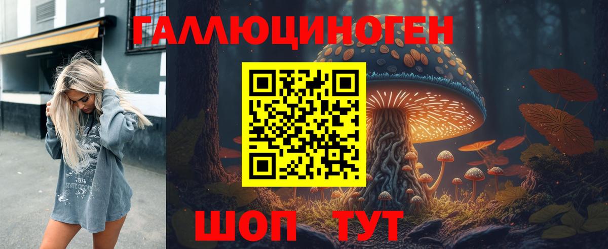 Псилоцибиновые грибы Psilocybine cubensis Надым