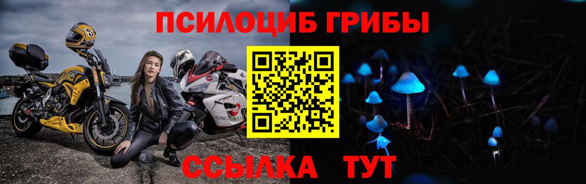 Надым  Псилоцибиновые грибы Psilocybine cubensis  Вход с VPN 